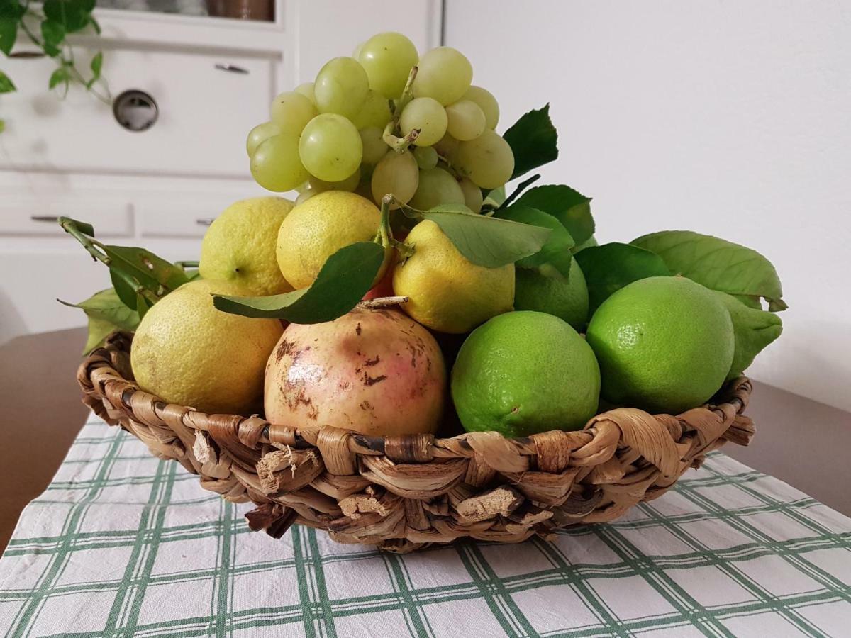 DolianovaMarco'S House别墅 外观 照片