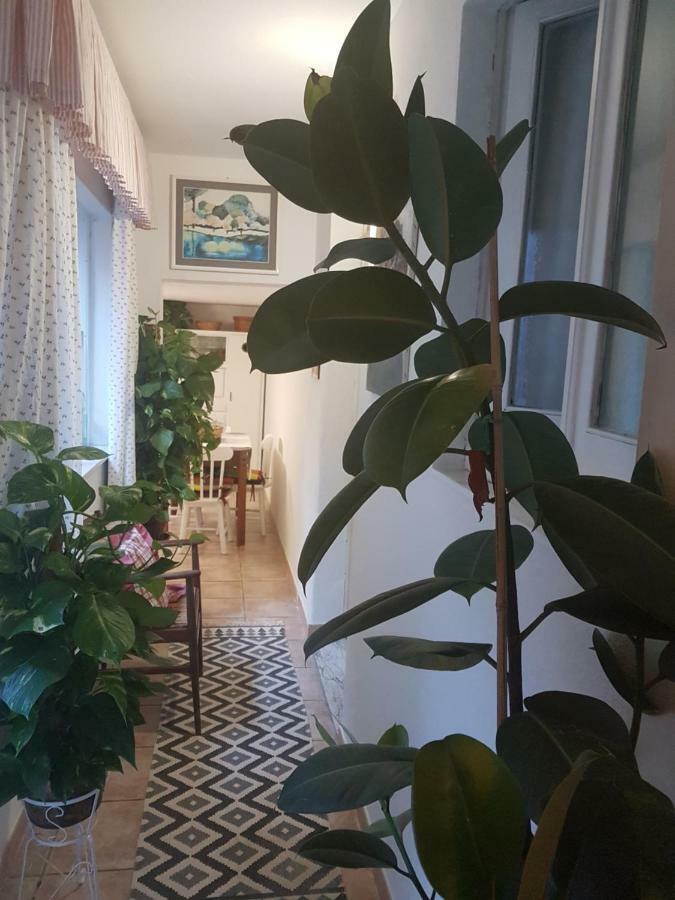 DolianovaMarco'S House别墅 外观 照片